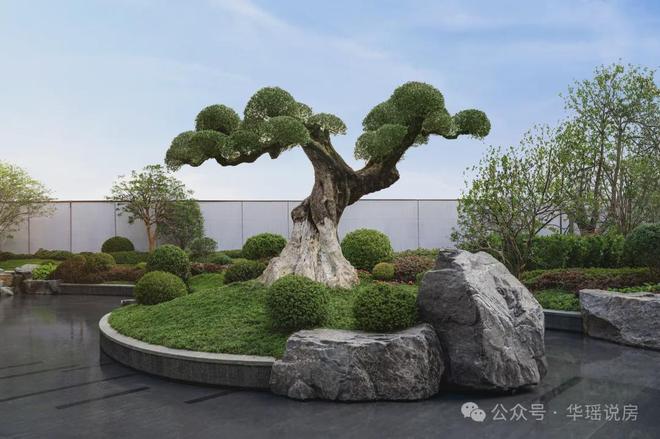 现王！狮山「安雲180」惊爆开卷！尊龙凯时APP苏州神盘！360°兑(图23)