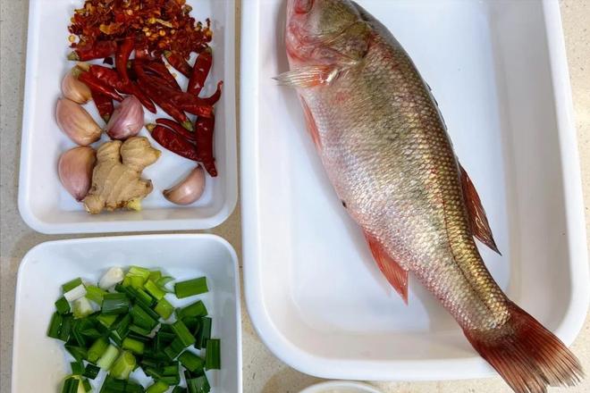 种家常吃法刺少肉嫩老人小孩放心炫尊龙凯时全家都爱吃的鲈鱼做法!4(图1) 种家常吃法刺少肉嫩老人小孩放心炫尊龙凯时全家都爱吃的鲈鱼做法!4(图1)